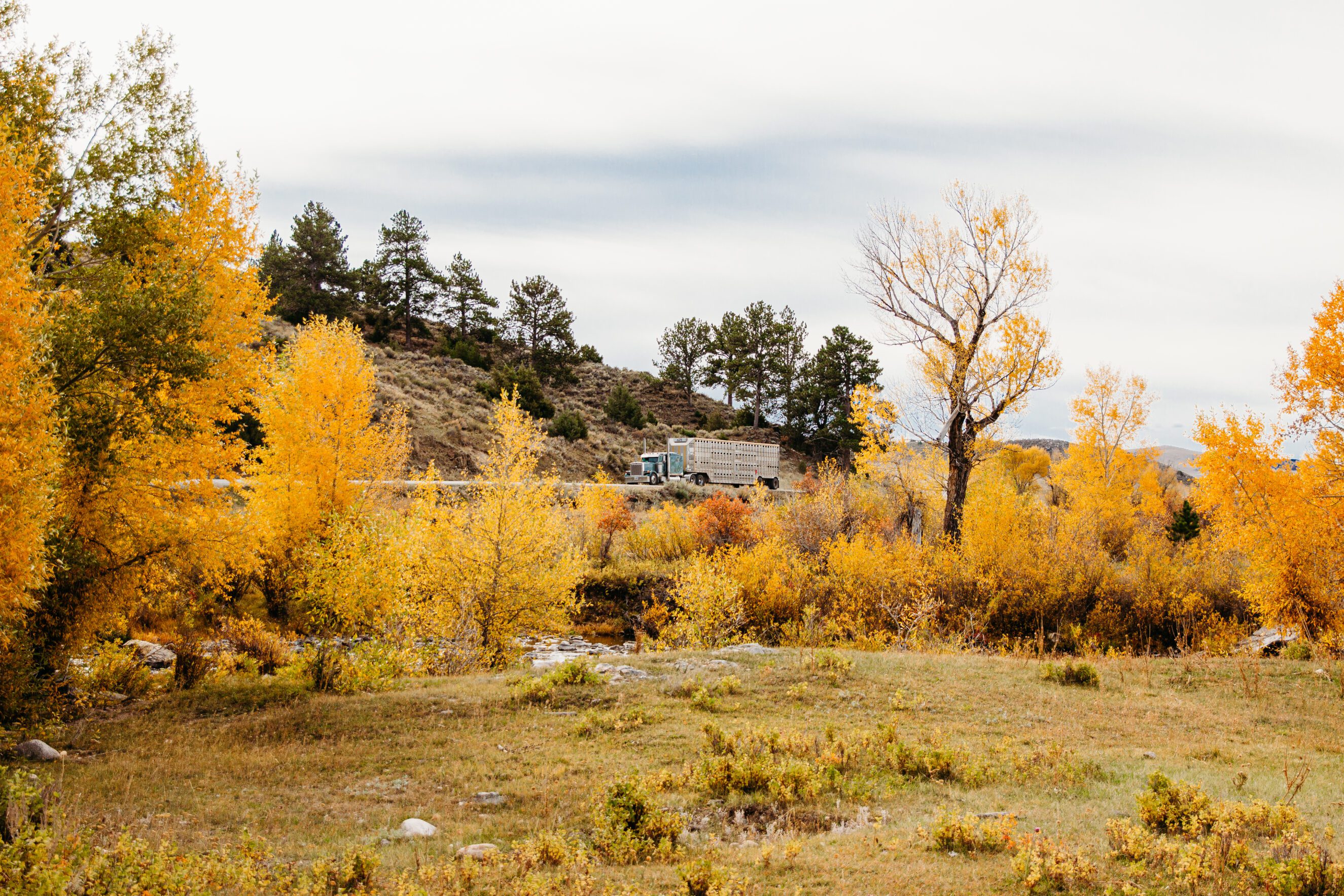 Wide shot of truck traveling along road